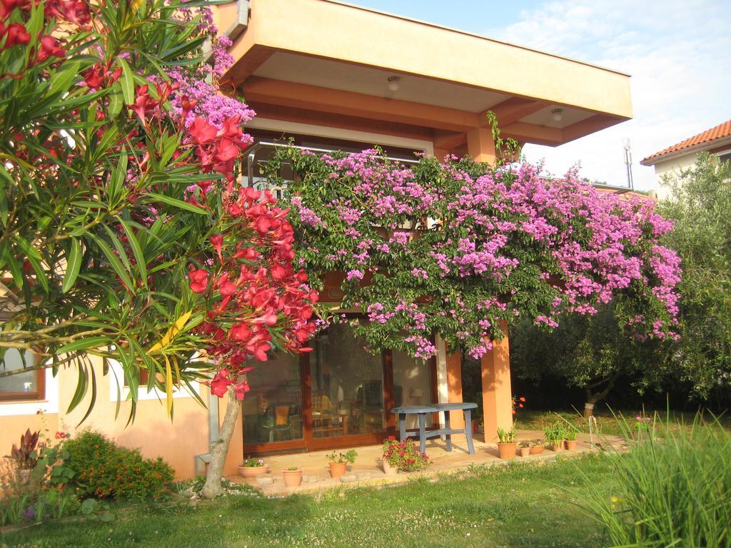 Apartman Lavanda Kali Bagian luar foto